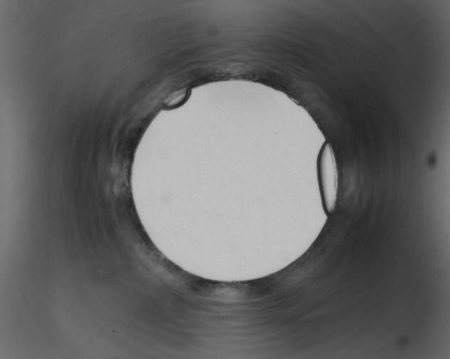 X0000115800236200912241859