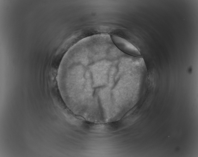 X0000115800237200912241859