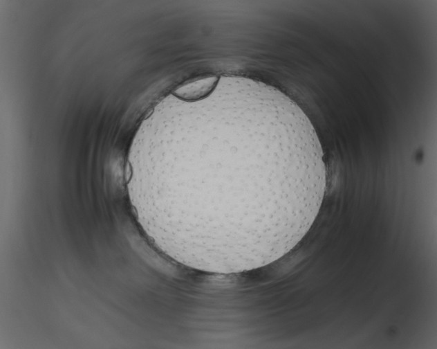 X0000115800238200912241859