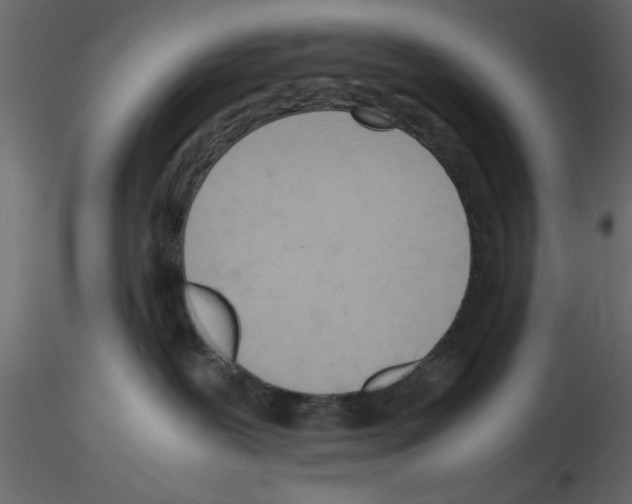 X0000115800239200912241859