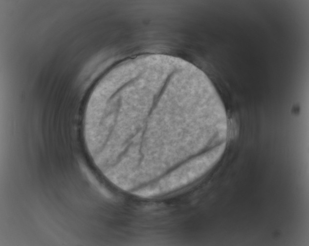 X0000115800243200912241859