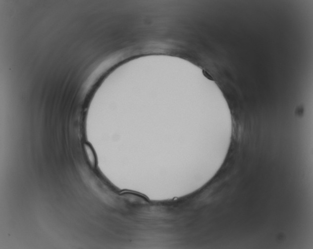 X0000115800244200912241859