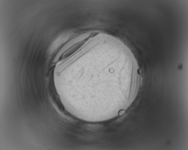 X0000115800245200912241859