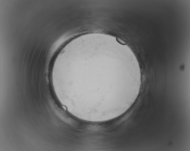 X0000115800246200912241859