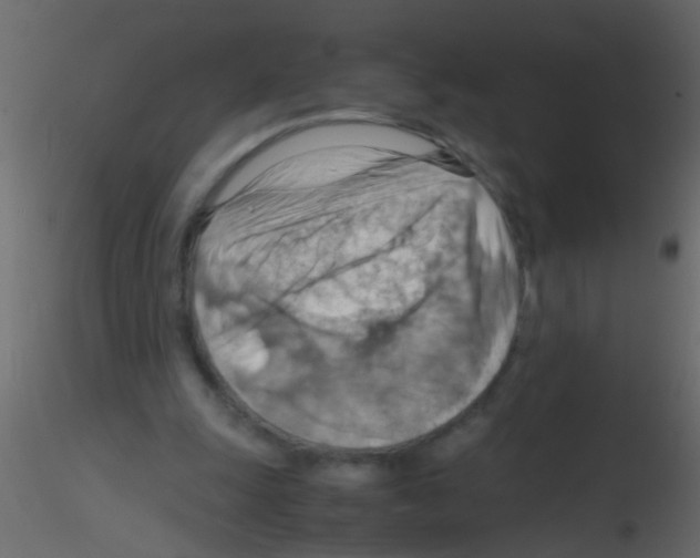 X0000115800247200912241859