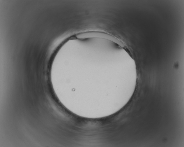 X0000115800248200912241859