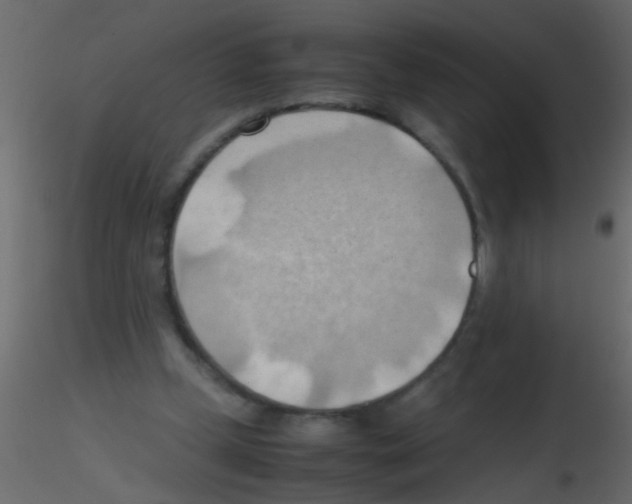 X0000115800249200912241859