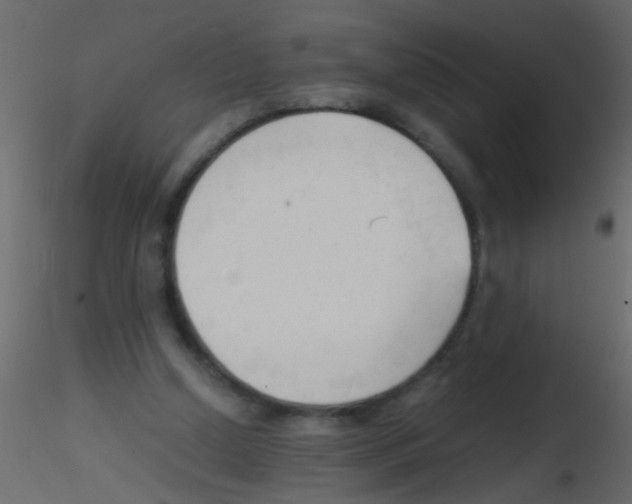 X0000115800250200912241859