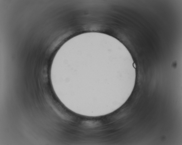 X0000115800251200912241859