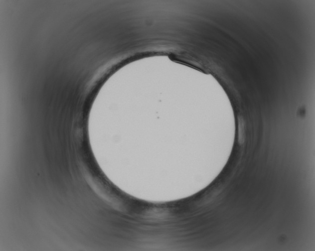 X0000115800252200912241859