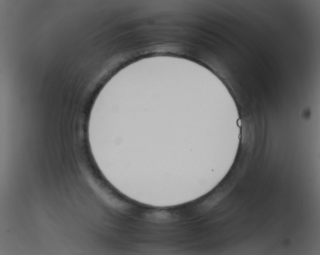 X0000115800253200912241859