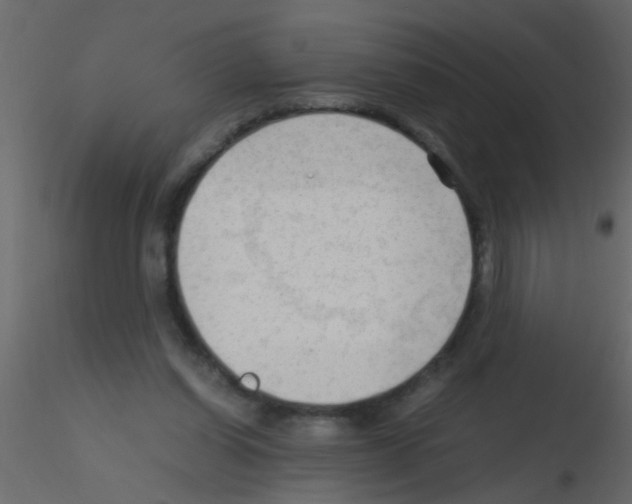 X0000115800254200912241859