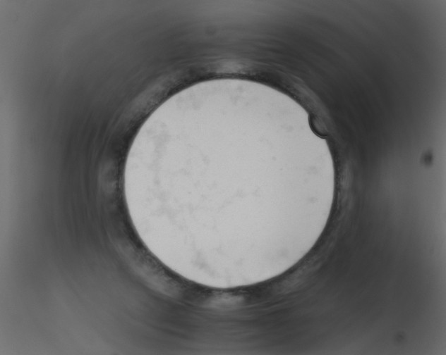 X0000115800257200912241859