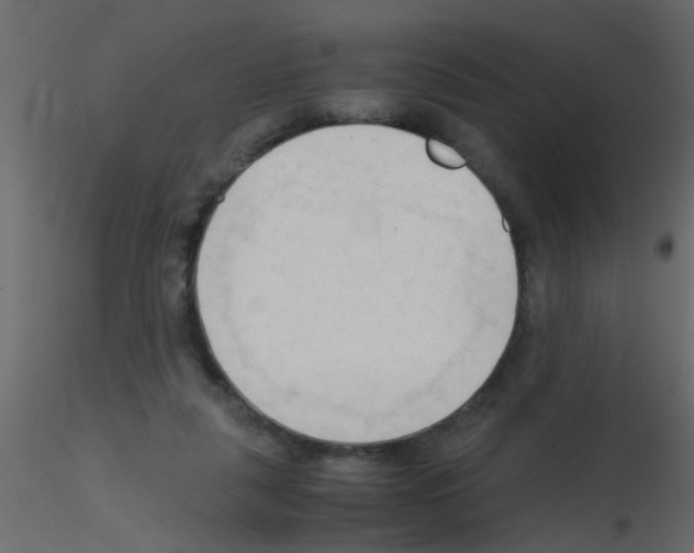 X0000115800259200912241859