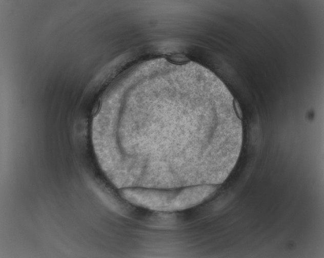 X0000115800260200912241859