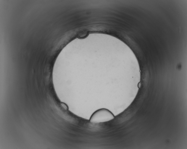 X0000115800261200912241859