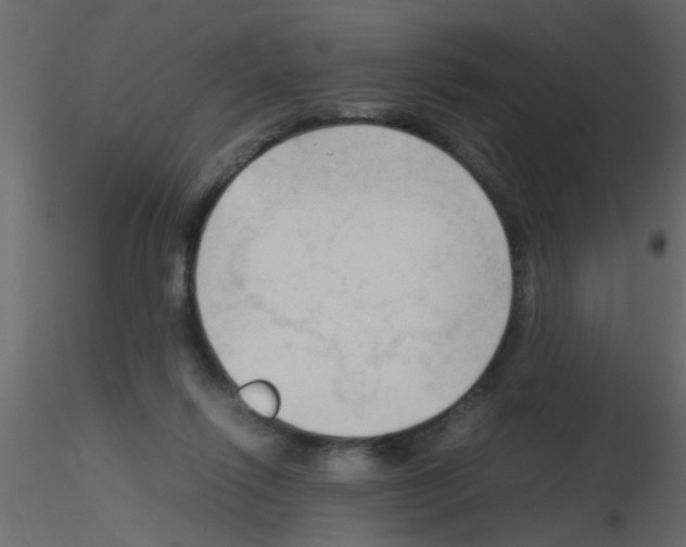 X0000115800262200912241859