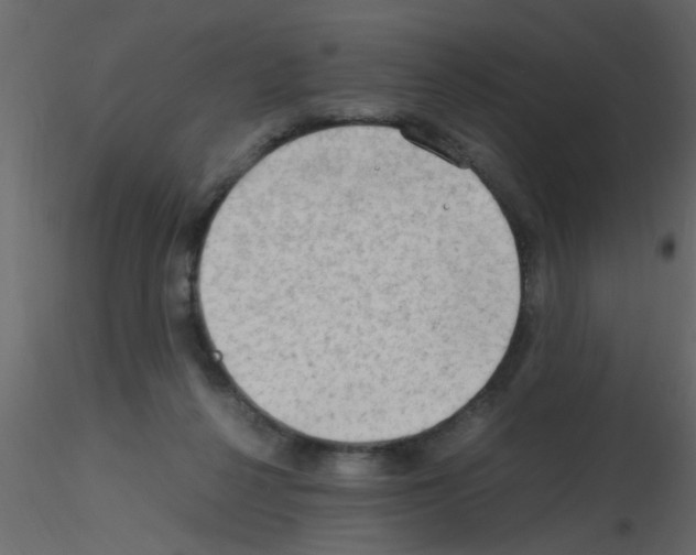 X0000115800264200912241859