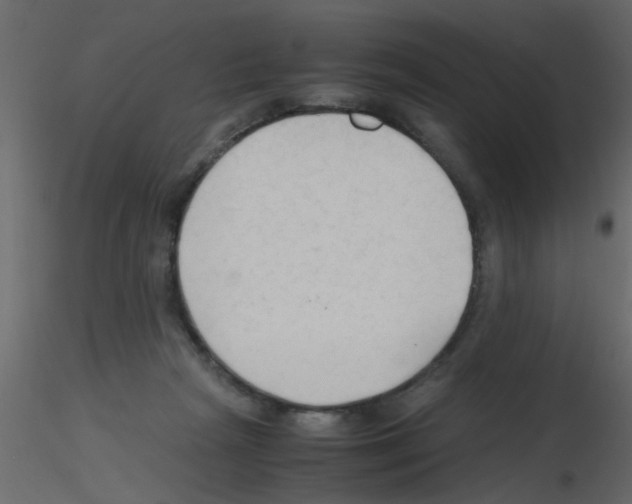 X0000115800265200912241859