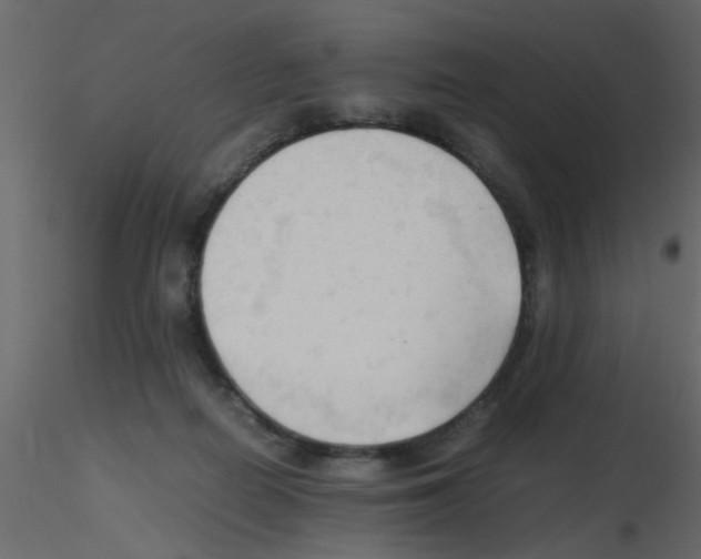 X0000115800266200912241859