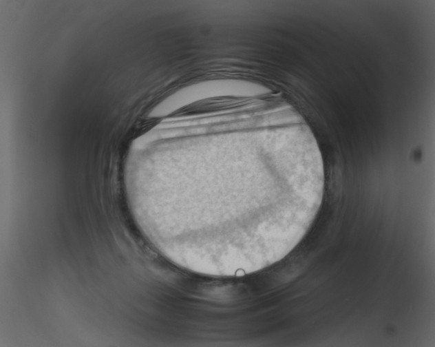 X0000115800267200912241859