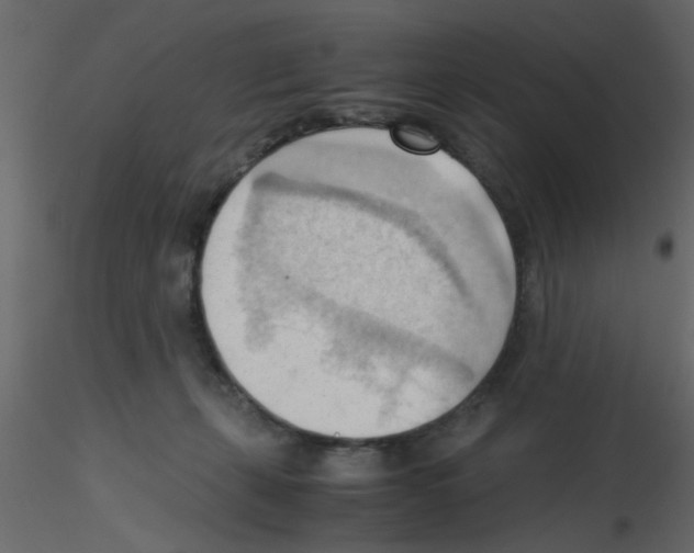 X0000115800271200912241859