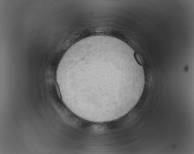 X0000115800272200912241859