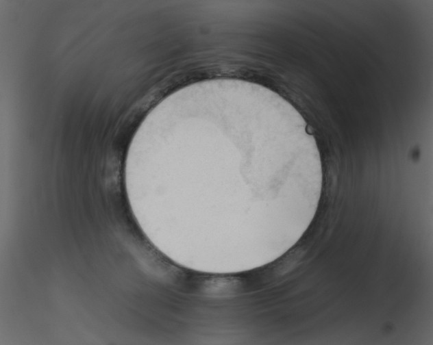 X0000115800274200912241859