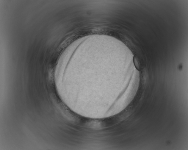 X0000115800276200912241859