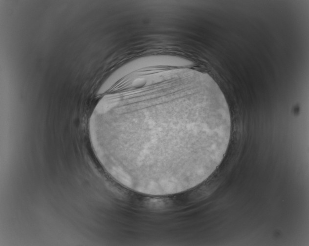 X0000115800277200912241859