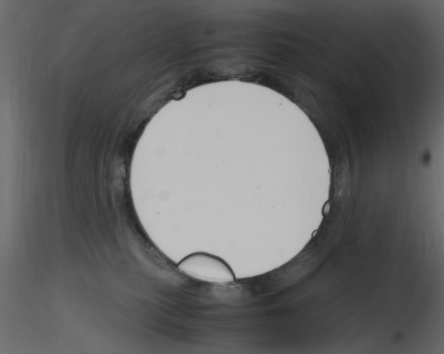 X0000115800279200912241859