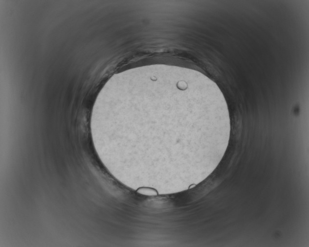 X0000115800280200912241859