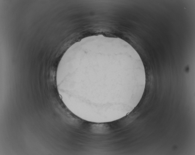 X0000115800281200912241859