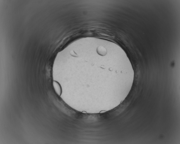 X0000115800282200912241859