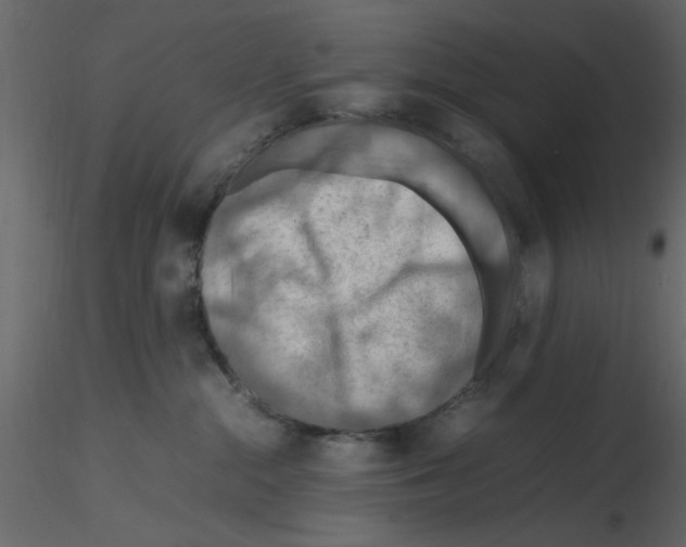 X0000115800284200912241859