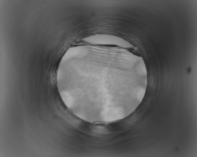 X0000115800285200912241859