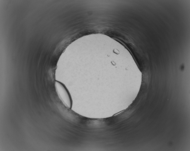 X0000115800286200912241859