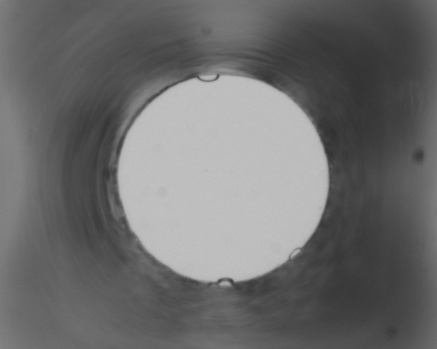 X0000115800289200912241859