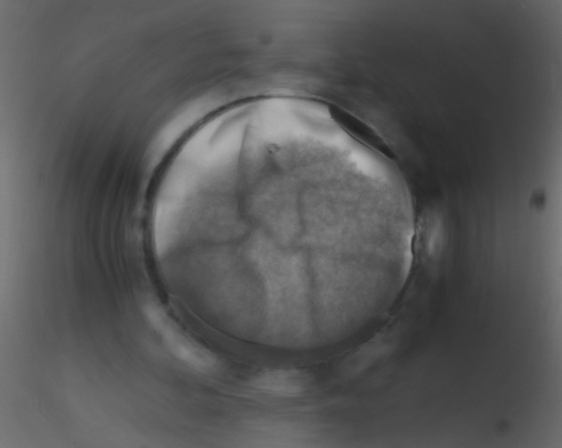 X0000115800292200912241859