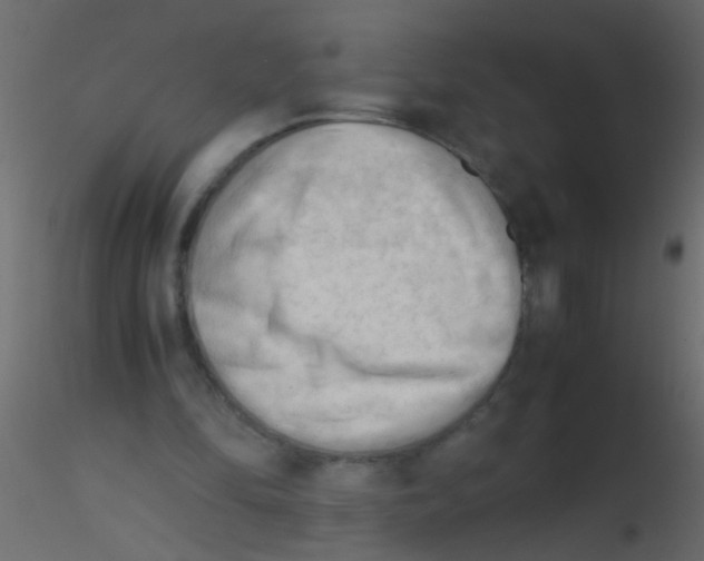 X0000115800294200912241859