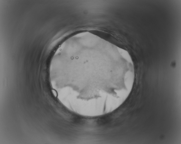 X0000115800295200912241859