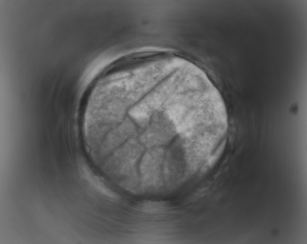 X0000115800296200912241859