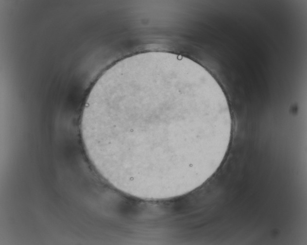 X0000115800297200912241859