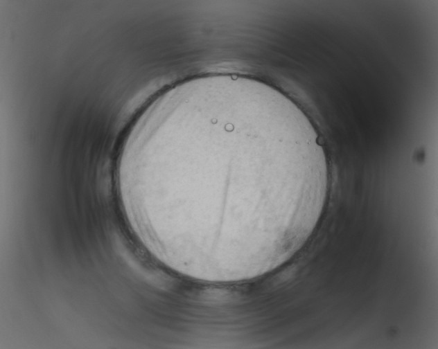 X0000115800298200912241859