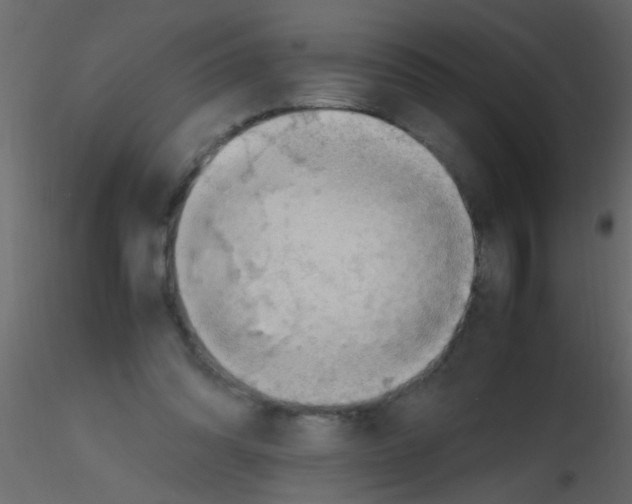 X0000115800302200912241858