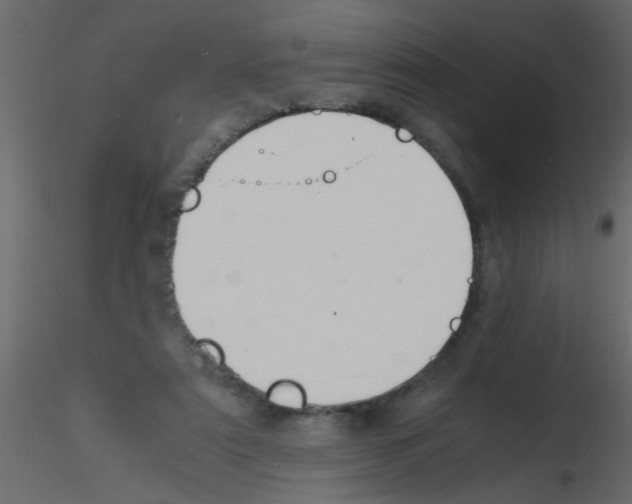 X0000115800307200912241858