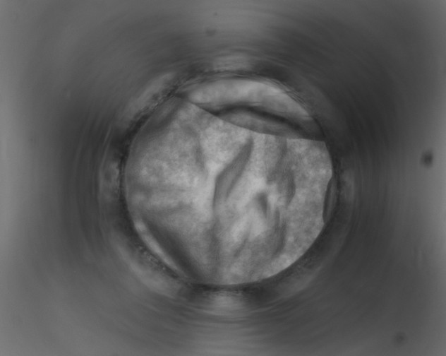 X0000115800308200912241858