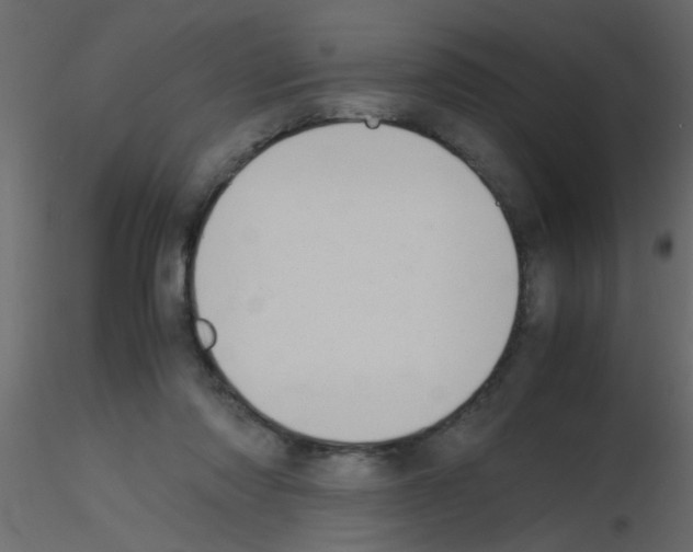 X0000115800310200912241858