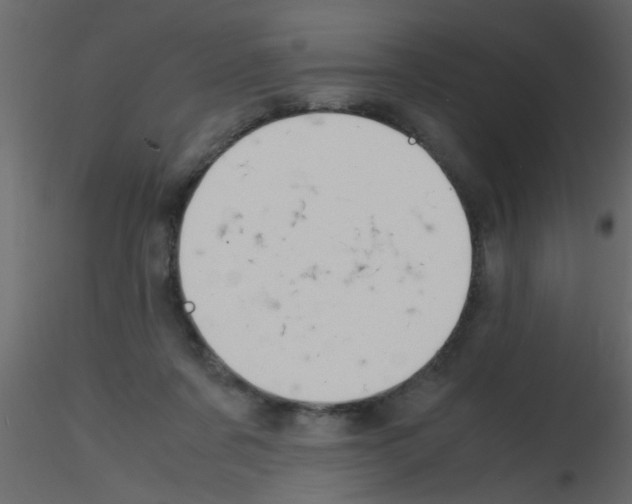 X0000115800311200912241858