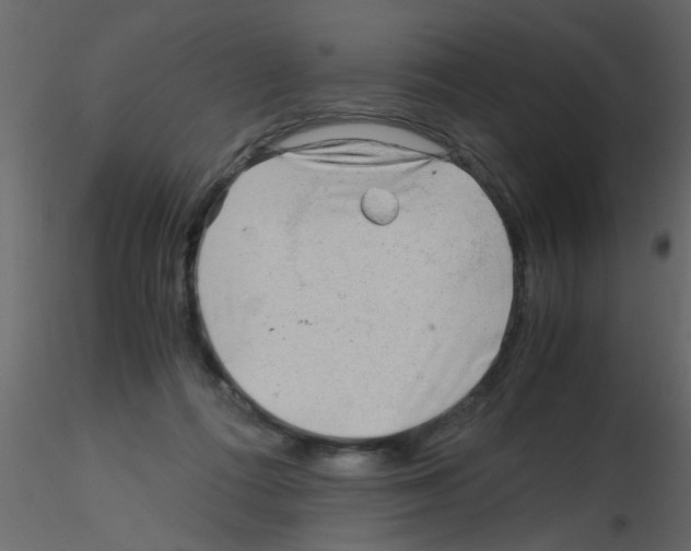 X0000115800312200912241858